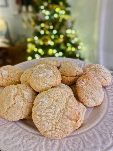 Biscuits in a plate seen from the side